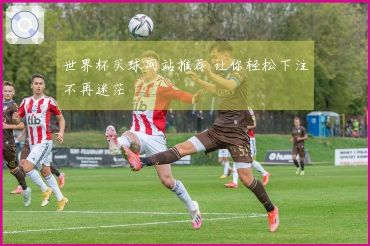 世界杯买球网站推荐 让你轻松下注不再迷茫